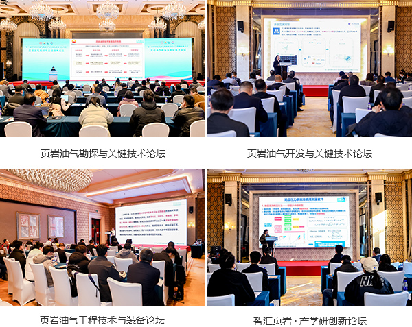 1765180246305567.jpg 2.jpg